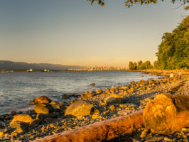 Vancouver Picture of the Day #3